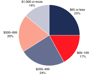 Pie chart with 5 slices, showing earnings of $65 or less equals 25%, $66 to $199 equals 17%, $200 to $499 equals 24%, $500 to $999 equals 20%, and $1,000 or more equals 14%.